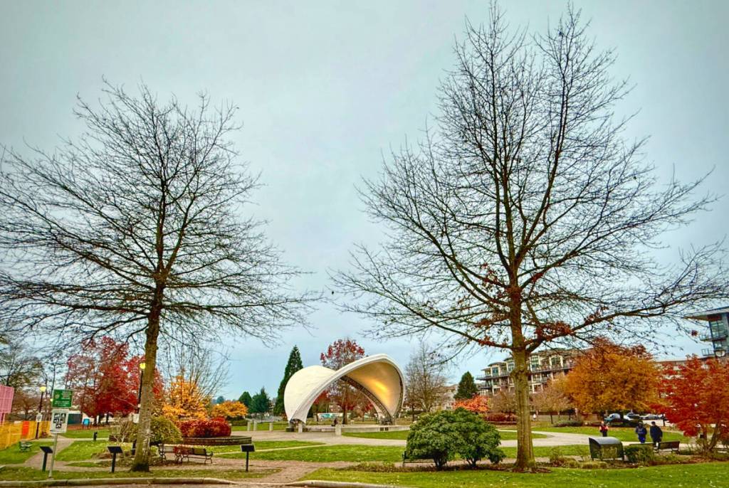 Before the latest series of winds and rain, Denise Decloux captured a few photos at Douglas Park. “I loved the outdoor stage framed by the last of the autumn coloured trees and a couple leafless trees that tell us that winter is on its way,” she shared. “Can’t wait for the Christmas lights in the park.” (Special to Langley Advance Times)