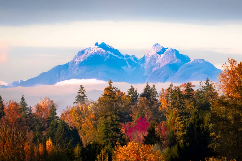 Murrayville’s Deb Friesen drove to Campbell Valley earlier this month “to enjoy and try to capture with my camera the beautiful autumn colours.” It wasn’t until she turned and around and was heading home that she was “surprised by this majestic scene of Golden Ears being framed by golden autumn foliage,” Friesen shared. “We are so blessed to live in such a beautiful area!” (Special to Langley Advance Times)