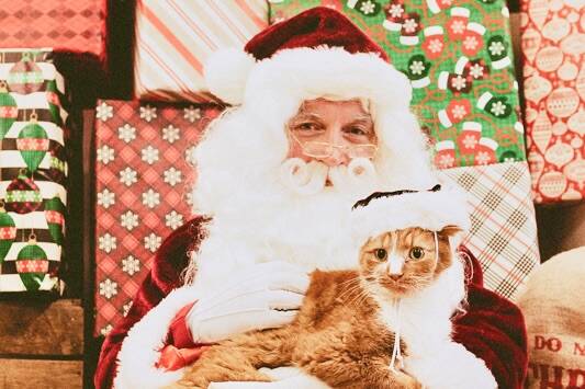 LAPS is returning with annual Photos with Santa event on Nov. 29 at Aldergrove’s Clearview Country Market. (Special to The Star)