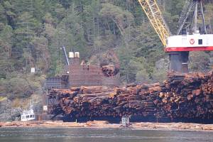 Raw logs are loaded onto a logging ship from a log sort down the Alberni Inlet in March 2019. (Susan Quinn/ Alberni Valley News)