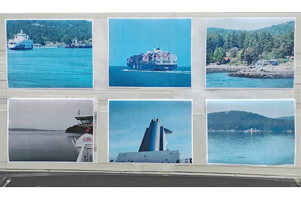 Faced with the potential loss of sight in one eye in 2025, long-time Langley community activist Gary Hee turned to his love of photography, exhibiting some of his many photos to raise money for charity. (Langley Advance Times files)