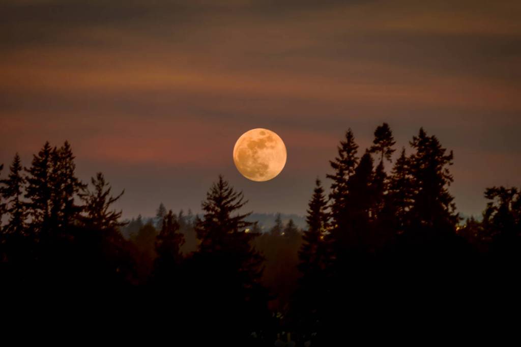 Deb Friesen set up her camera gear outside on her Murrayville deck the other night, intent on capturing the lunar eclipse. &ldquo;But alas, the clouds rolled in to conceal it,&rdquo; she said. In retrospect, she&rsquo;s grateful she snapped a few shots of the full moon rising – for practice purposes only – because that&rsquo;s all she came away with for that night&rsquo;s photography efforts. (Special to Langley Advance Times)